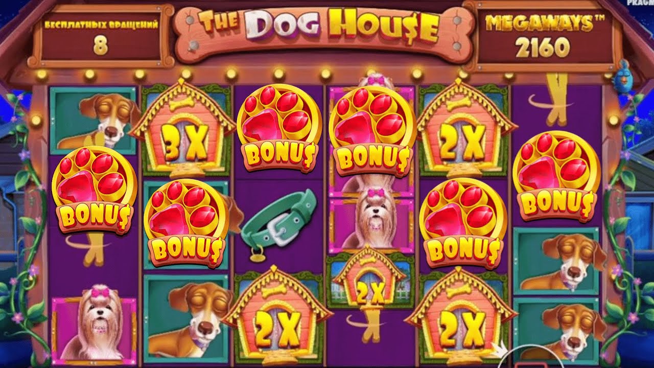 Big Win in The dog house megaways. Online casino 2022