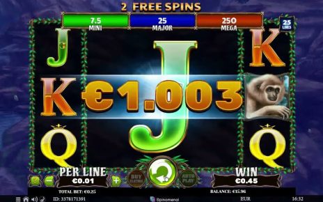 Blue Panther big win WELTBET Online Casino