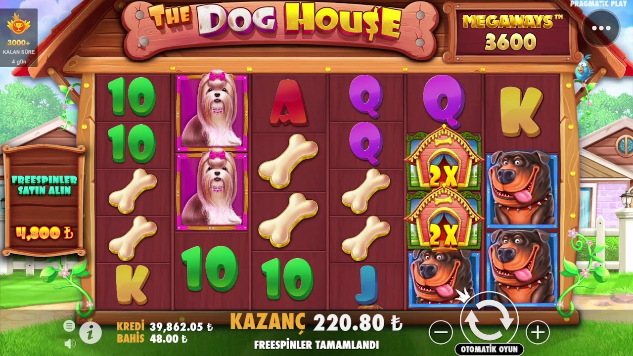 Casino Pro Games | Şov Zamanı Yayın Sonu Çekiliş Var #sweetbonanza #slot #casino #canlıcasino