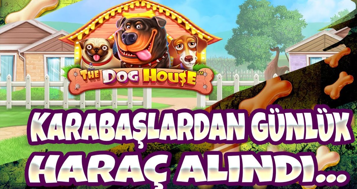 DOG HOUSE | EFSANE KOMBO EFSANE ÇARPANLARA YAKIŞIRR  ❤️?