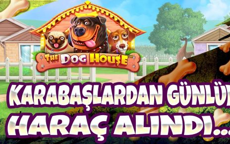 DOG HOUSE | EFSANE KOMBO EFSANE ÇARPANLARA YAKIŞIRR  ❤️? #thedoghouse #casino