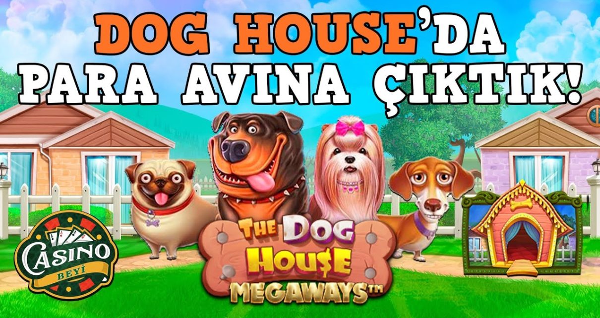 #DogHouseMegaways'de 200 TL Spinle Kazancın Peşindeyiz! Casino Beyi #slot #casino #slotoyunları