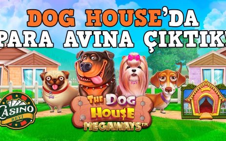 #DogHouseMegaways'de 200 TL Spinle Kazancın Peşindeyiz! Casino Beyi #slot #casino #slotoyunları