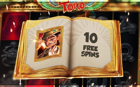 €50,000 FREISPIELE GEKAUFT! (BOOK OF TORO)