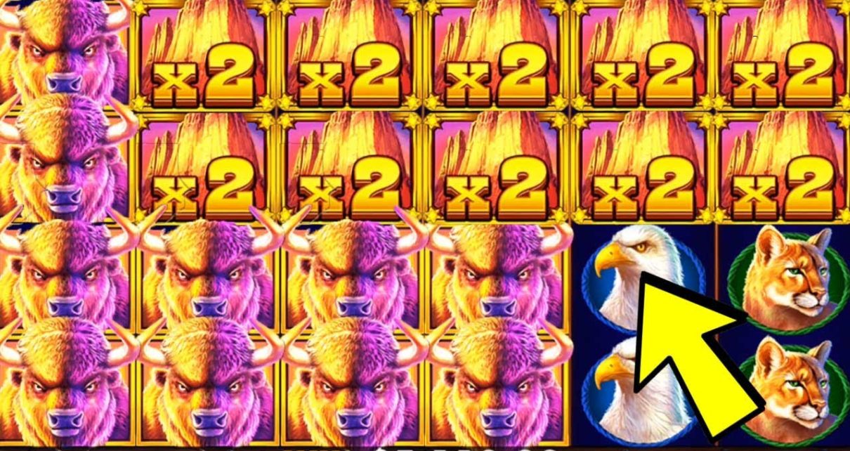 ?EXTREME BONUS BUY IN BUFFALO KING! ?MEGA WIN 00! ONLINE CASINO PHILIPPINES existent MONEY ?EXTREME BONUS BUY IN BUFFALO KING! ?MEGA WIN 00! ONLINE CASINO PHILIPPINES existent MONEY