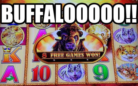 Good Old Classic Buffalo Gold! Quite A Few BONUSES!