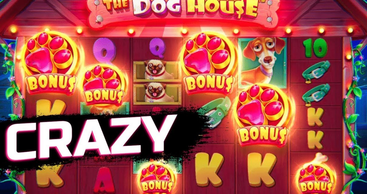 INSANE BONUS IN DOG HOUSE MEGAWAYS? | WINS OF THE WEEK ONLINE CASINO | CASINO ONLINE STREAM