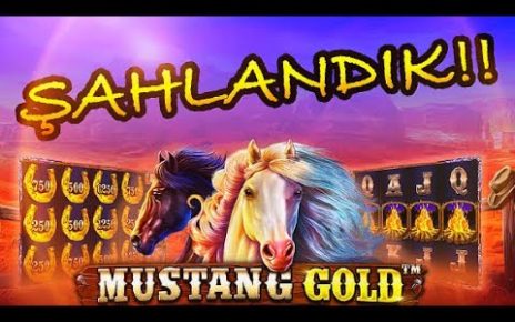 MUSTANG GOLD || ŞAHA KALKTIK!! KASAYI KATLADIK.#pragmaticplay #mustanggold #slotoyunları #casino