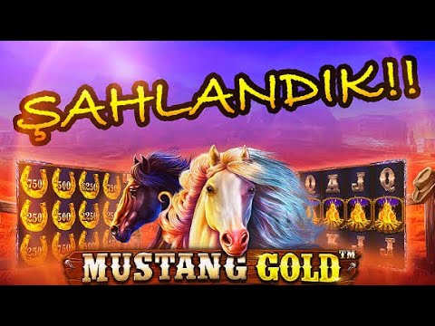 MUSTANG GOLD || ŞAHA KALKTIK!! KASAYI KATLADIK.#pragmaticplay #mustanggold #slotoyunları #casino