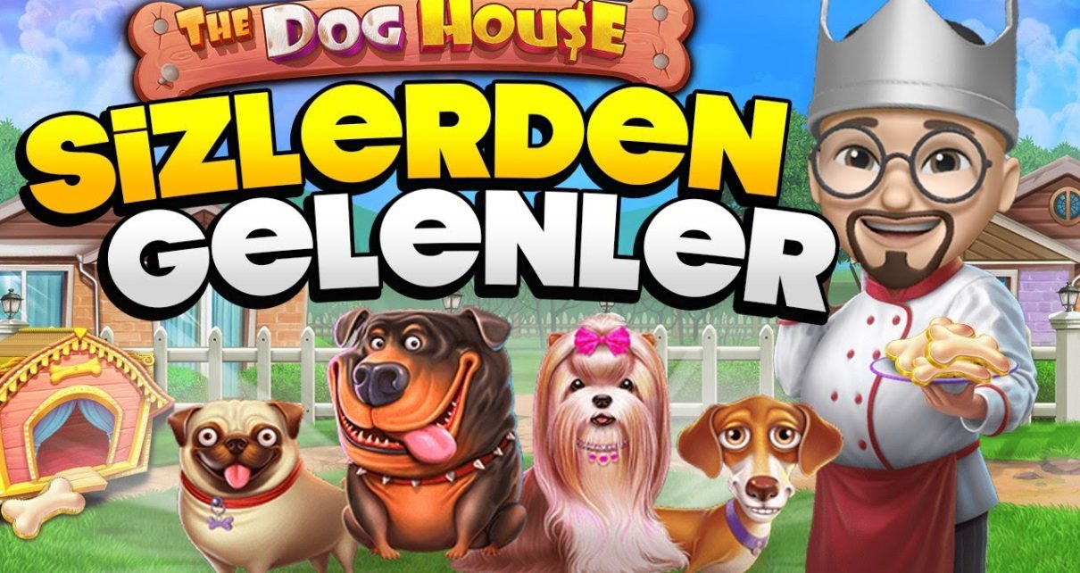 SLOT OYUNLARI ? SİZDEN GELENLER ?‍? DOG HOUSE  #slot #slotoyunları #casino