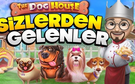 SLOT OYUNLARI ? SİZDEN GELENLER ?‍? DOG HOUSE  #slot #slotoyunları #casino