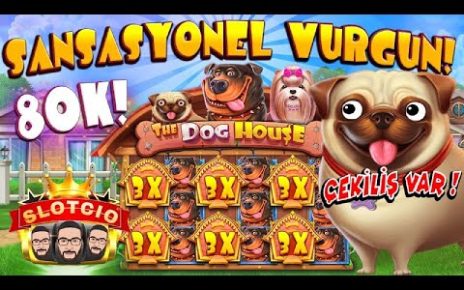 Slot Oyunları ?The Dog House Rekor?150TL'den BONUS??500TL NAKİT ÖDÜL? #slot #slotoyunları #casino