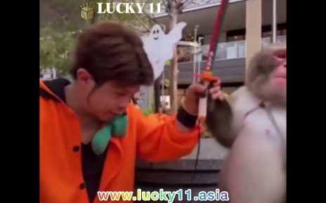 ????【LUCKY11 Online Casino】The World of Animals We Can't Understand IPL Select LUCKY11 ????