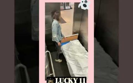 【Lucky11 Online Casino】The Way He Slid Down The Stairs ?