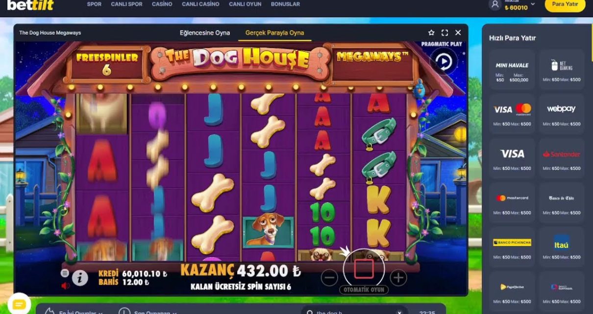 25 K İle 17 Oyun Topladık ️ BONUS HUNT Zamanı ️CASİNO GOLDEN İLE SAHURA DOGRU