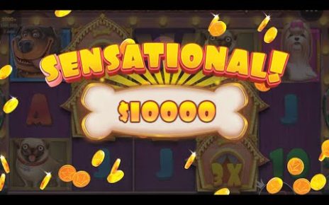 Casino online existent money Big Win in The Dog House slot online! Online casino existent cash gambling 2022