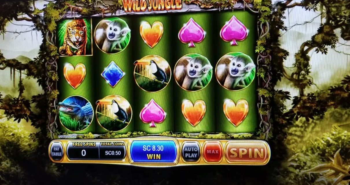 Chumba The Wild Jungle Online Casino slot machine
