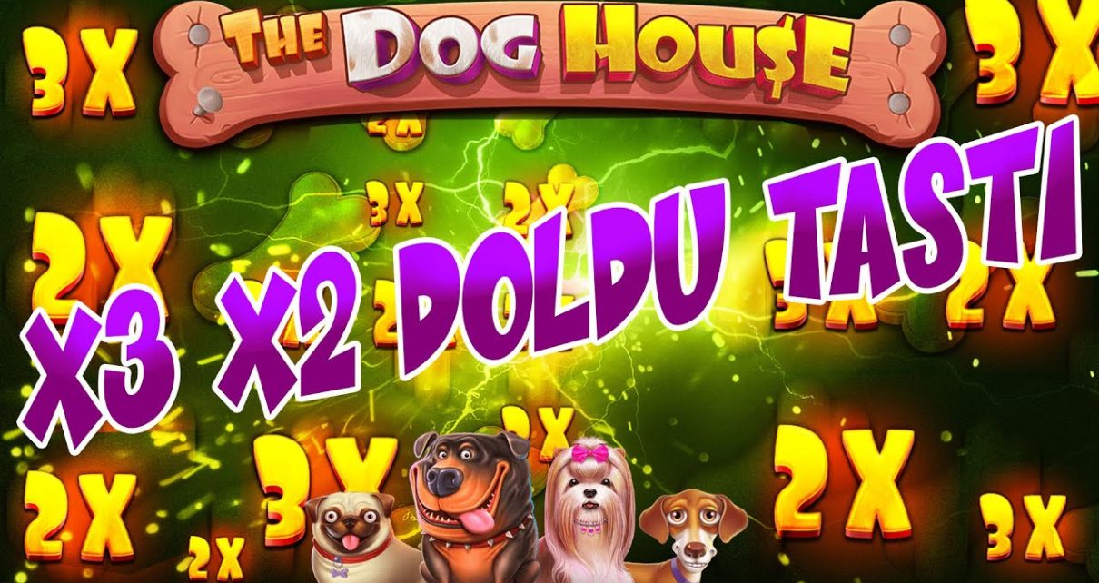 DOG HOUSE | KISA SUREDE KENDİMİZİ YORMADAN KASA KATLADIK??