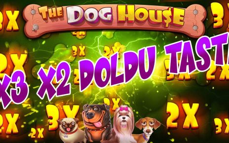 DOG HOUSE | KISA SUREDE KENDİMİZİ YORMADAN KASA KATLADIK??