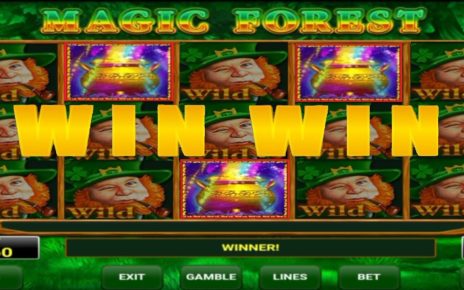 MAGIC FOREST CASINO BOUNS HUNTER ? هذا هو سحر البونيس