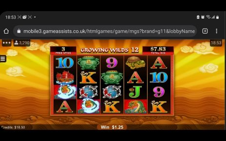 Online casino slot 2