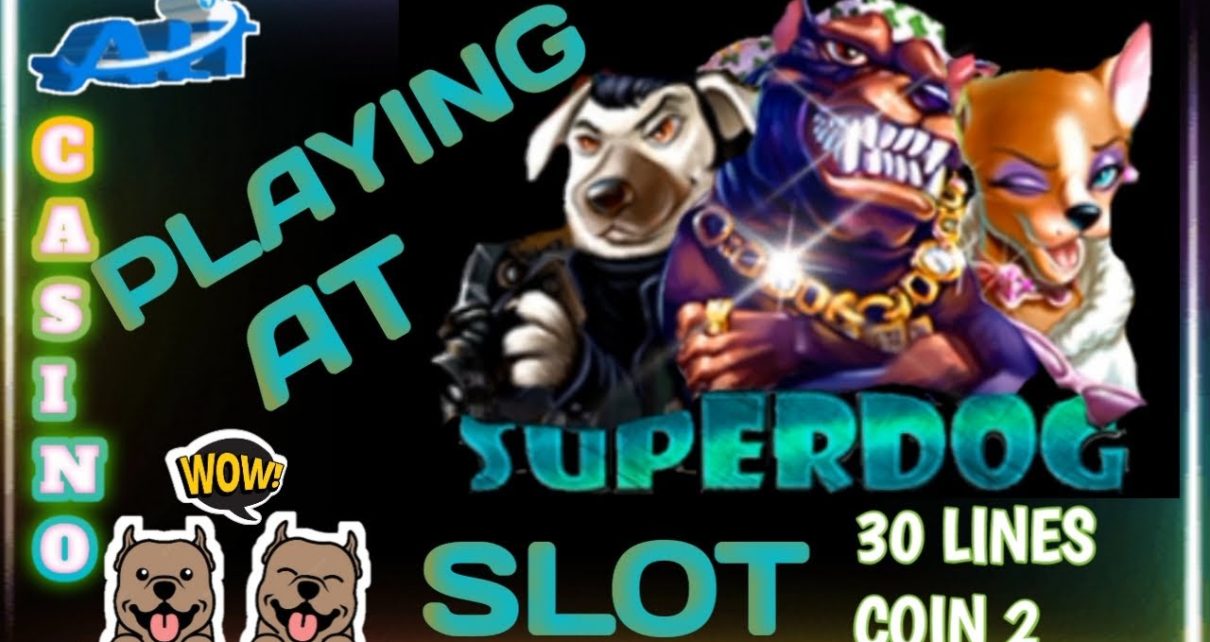 Playing Superdog Slot/ALT CASINO/ online casino existent money/# 100% legit money making online