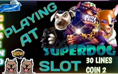 Playing Superdog Slot/ALT CASINO/ online casino existent money/# 100% legit money making online