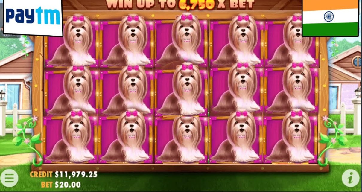 ?SPEED tape! FASTEST WIN ? 900 USD IN ONLINE CASINO INDIA FOR existent MONEY! The Dog house