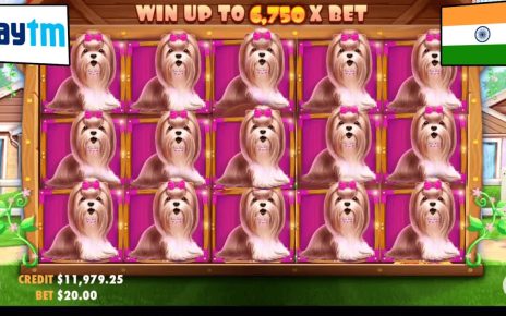 ?SPEED tape! FASTEST WIN ? 900 USD IN ONLINE CASINO INDIA FOR existent MONEY! The Dog house