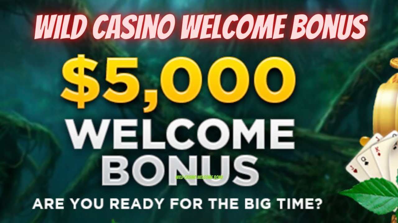 Sign Up Wild Casino - Wild Casino Bonus Codes - Best Online Gambling Sites.