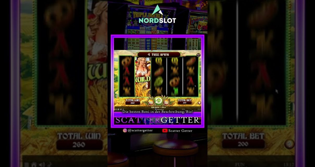 ? Spinning Bears 4000€ BONUSBUY  ❗? Online Casino # Shorts