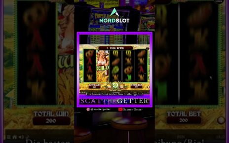 ? Spinning Bears 4000€ BONUSBUY  ❗? Online Casino # Shorts
