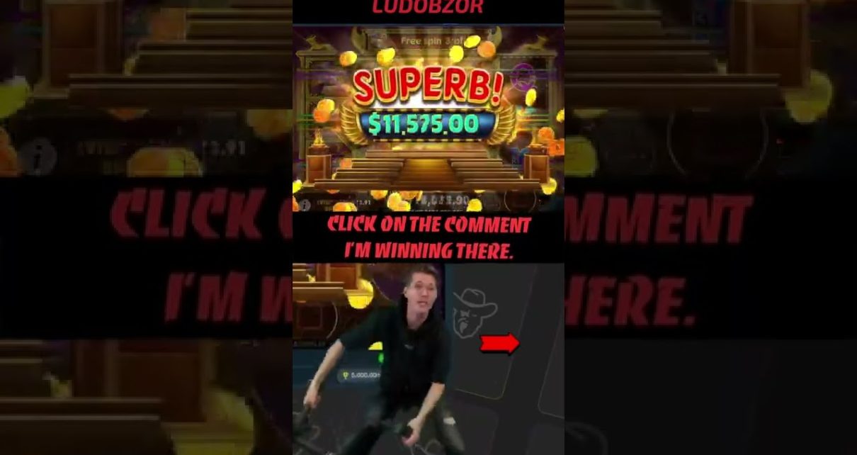?Top win 506 000$ in Book Of The Fallen /India Online Casino
