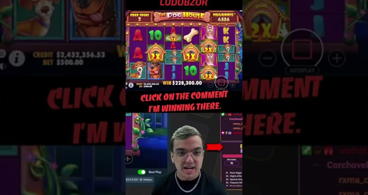 ?Top win 630 000$ in The Dog House / India Online Casino