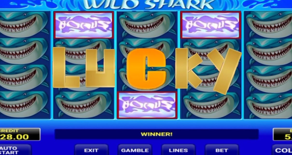 WILD SHARK CASINO SLOTS LUCKY WINNER / BONUS HUNTER ??و عدنا WILD SHARK CASINO SLOTS LUCKY WINNER / BONUS HUNTER ??و عدنا