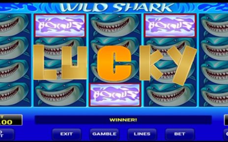 WILD SHARK CASINO SLOTS LUCKY WINNER / BONUS HUNTER ??و عدنا