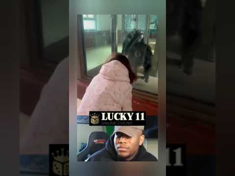 【Lucky11 Online Casino】Human King Kong Dance ??