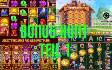 Bonus Hunt im Online Casino 28 Slots gesammelt auf kleinen Einsätzen Teil 1