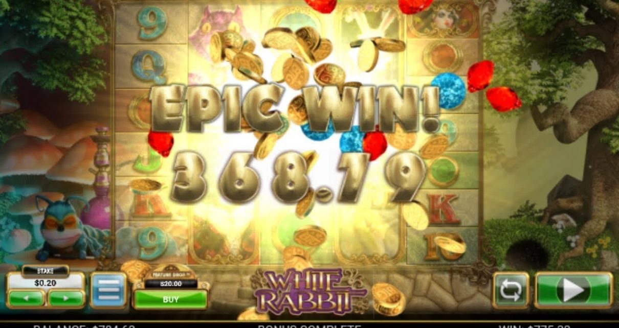 Canadian Online Casino Winners