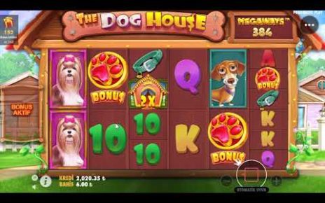 DOG HOUSE!!! KASAYI YEDİ KÖPEKLER:) #casino #slot #pragmatik #doghouse