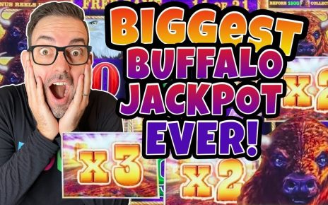 ? My BIGGEST JACKPOT EVER on BUFFALO LINK! ? Be a SMART Gambler + Wear Glasses!