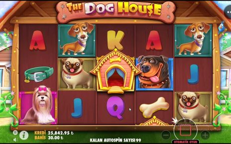 SLOT OYUNLARI ? DOG HOUSE ? İÇİNDEN GEÇİLDİ ✔️#thedoghouse #doghouse #casino #para #kazanmak #slot