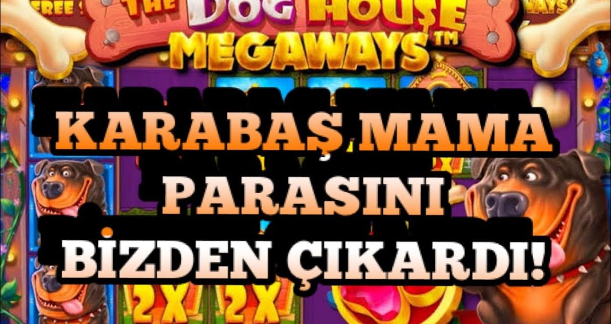THE DOG HAUSE|| VAY SENİ KUÇU KUÇU!!ı