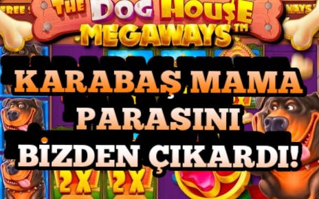 THE DOG HAUSE|| VAY SENİ KUÇU KUÇU!! #slot #slotoyunları #casino #pragmaticplay #thedoghouse