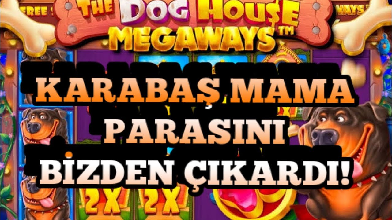 THE DOG HAUSE|| VAY SENİ KUÇU KUÇU!! #slot #slotoyunları #casino #pragmaticplay #thedoghouse