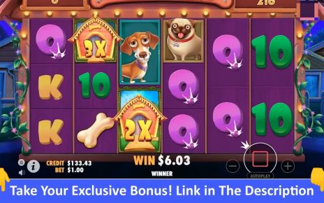 Top 10 Online Casino Websites