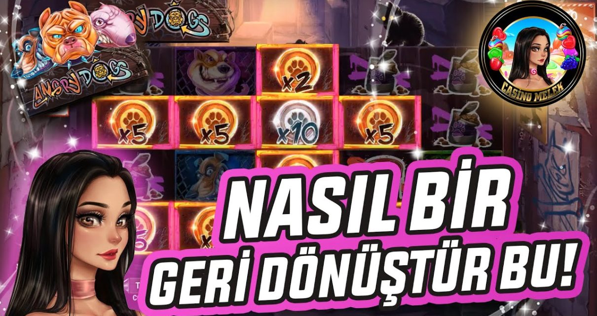 ANGRY DOGS SLOT??? | ONLİNE CASİNO SLOT OYUNLARI KÖPEKLER DİZE GELDİ❗️?❗️?