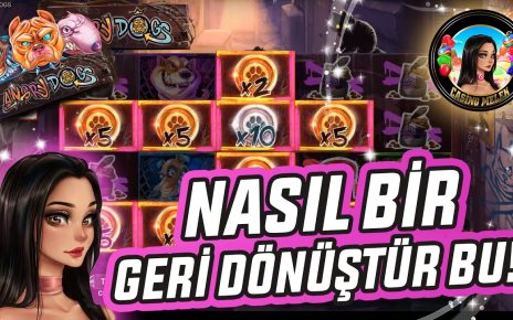 ANGRY DOGS SLOT??? | ONLİNE CASİNO SLOT OYUNLARI KÖPEKLER DİZE GELDİ❗️?❗️?