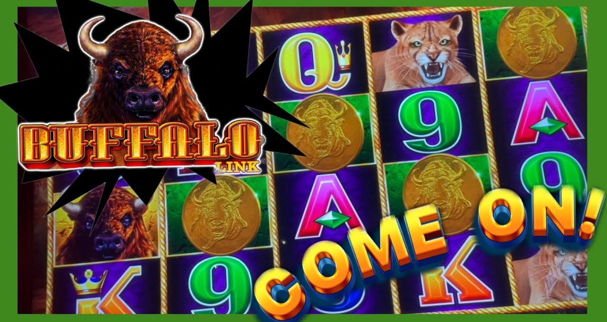 ??‍♂️Come On! Buffalo Link Slot Play at the Casino ?