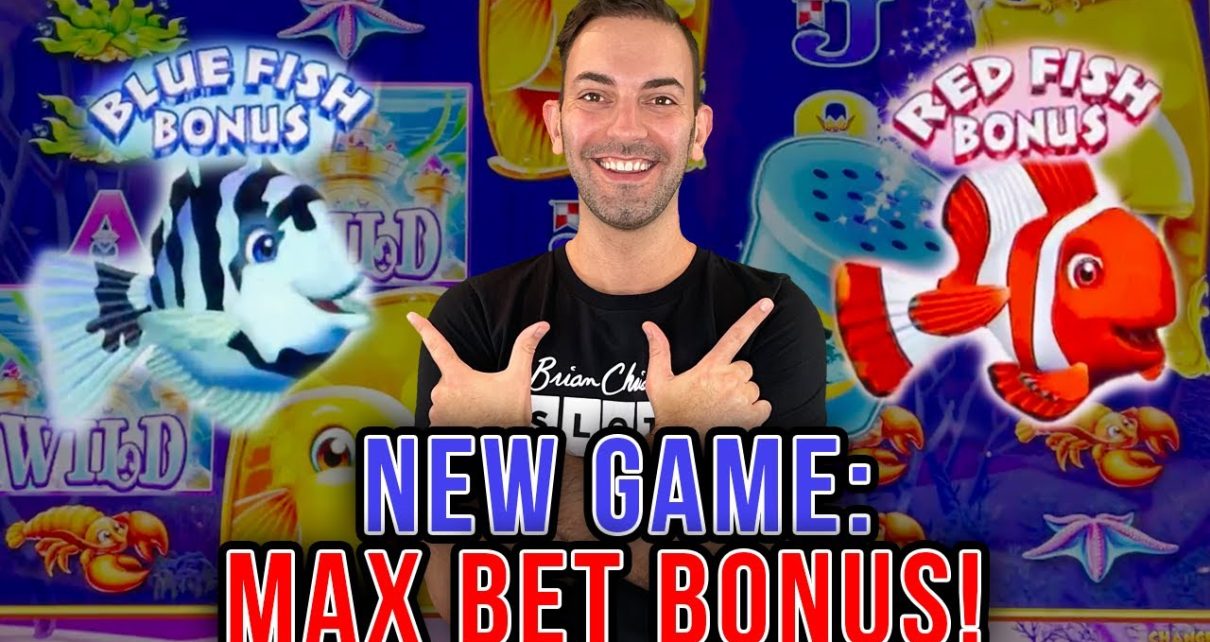 NEW GAME ➥ GOLD FISH Feeding Time! MAX BET ?  Graton Casino